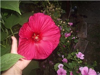 7301773c-Picture 037.jpg